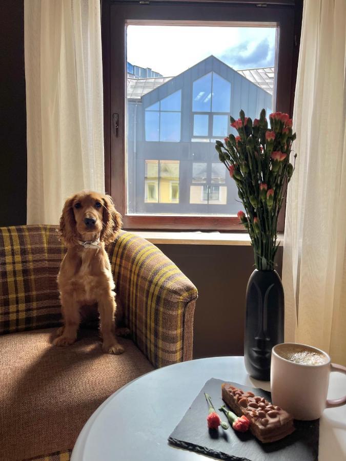 Apartament Grand Krupowki 47 Zakopane Eksteriør bilde